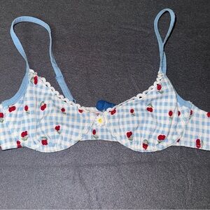 NWOT Cherry Blue Gingham Bikini Top Swimsuit